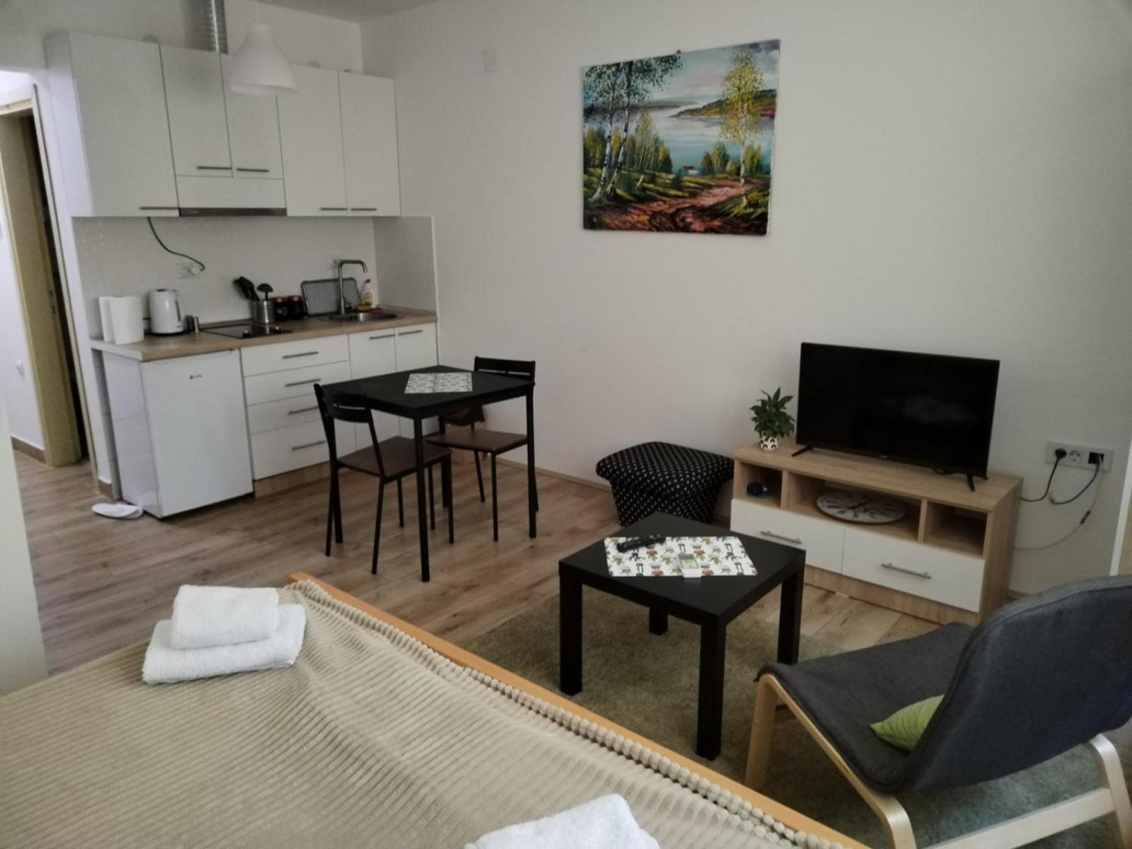 V & V Studio Apartments Nis Phòng bức ảnh